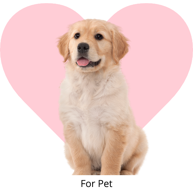🐾FOR PET
