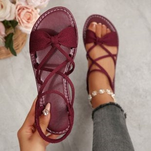 🏖️Limited time 60% OFF⏳👙Women's Criss-Cross Strap Flat Sandals