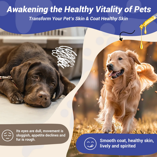 🐶Natural Dog Yeast Infection Treatment - Itchy Skin & Ear Relief, Reduces Inflammation & Irritation, Soothes Allergy Symptoms - Herbal Supplement Drops for Dogs' Healthy Itch Relief (2 Oz)