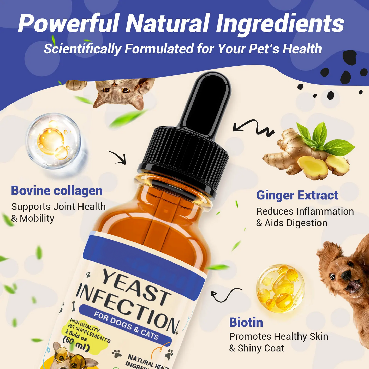 🐶Natural Dog Yeast Infection Treatment - Itchy Skin & Ear Relief, Reduces Inflammation & Irritation, Soothes Allergy Symptoms - Herbal Supplement Drops for Dogs' Healthy Itch Relief (2 Oz)